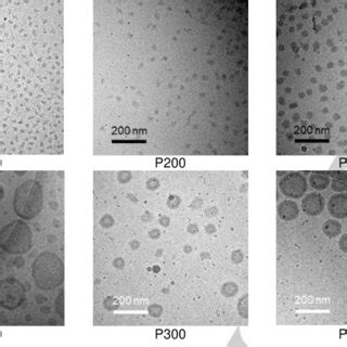 Representative Cryo Tem Pictures Of The Final Diblock Copolymer