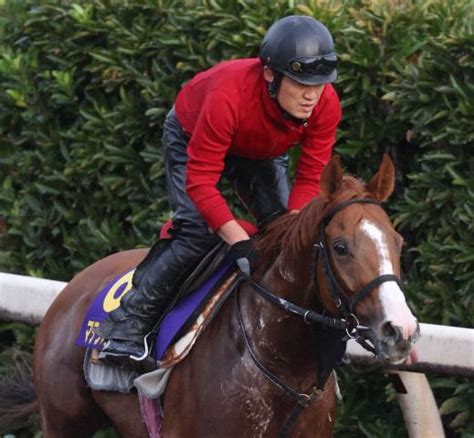 【天皇賞・秋】マテンロウスカイ 計画通りの調整、松永幹師「条件は問題ない」 競馬ニュース Netkeiba