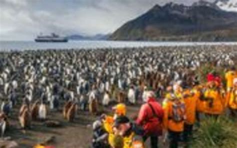 Safari Antarctique Et Georgie Du Sud Terra Antarctica Voyages