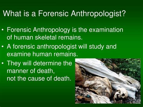 Ppt Death’s Acre Inside The Body Farm Powerpoint Presentation Free Download Id 5411291