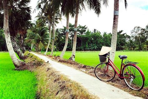 Non Touristy Mekong Delta Tour Cruising On Boat Biking Around The