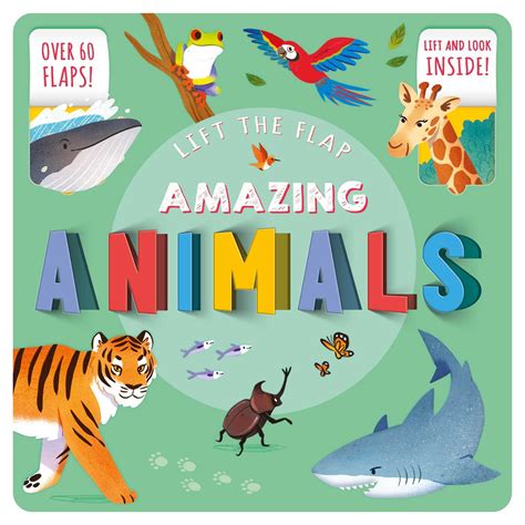 Amazing Animals Book By Igloobooks Bonnie Pang Official Publisher