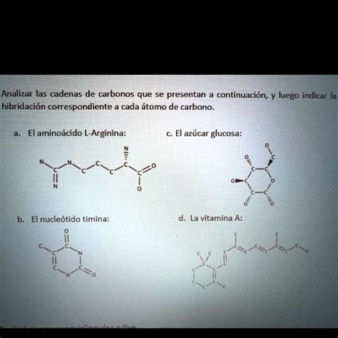 Solved Analizar Las Cadenas De Carbonos Que Se Presentan A