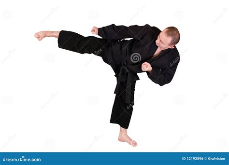 Martial Art Side Kick Royalty Free Stock Image Image 12192896