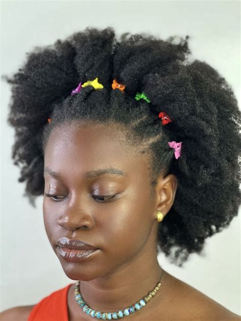 Hairdos For Curly Hair Braids Hairstyles Pictures Afro Hairstyles Natural Hairstyles