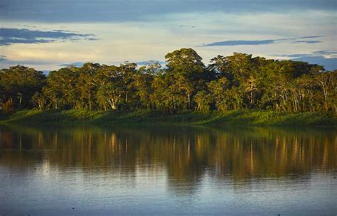 Apenas 7 dos rios da Mata Atlântica apresentam água de boa qualidade