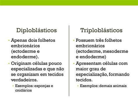 Características Dos Seres Do Ppt Carregar