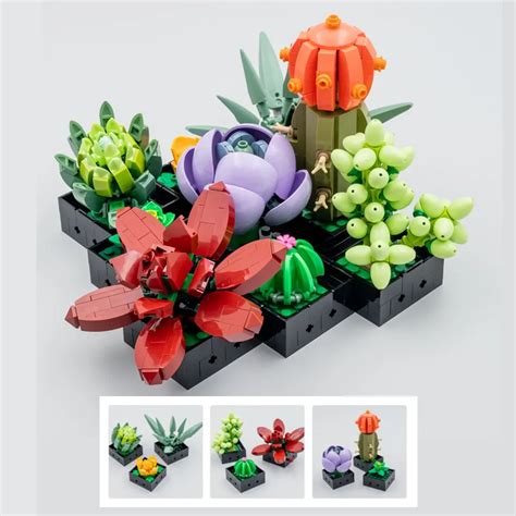 Bouquet De Fleurs Succulentes Plante Succulente Cadeau De F Te Des M