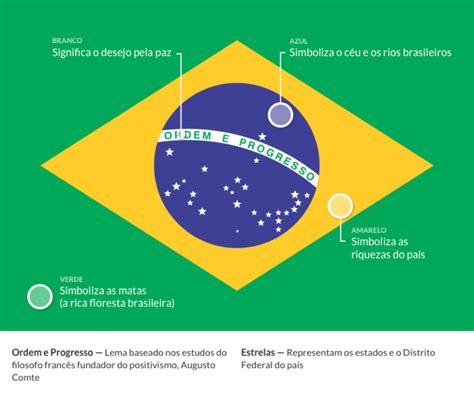 Mapa Del Brasil En Los Colores De La Bandera Con Vector De Divisiones ...