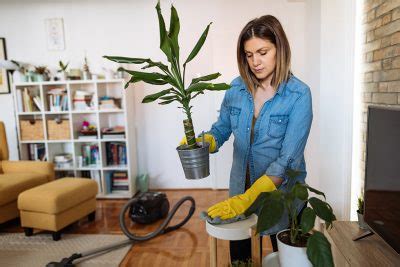 Consejos prácticos para limpiar la casa de manera rápida y eficiente