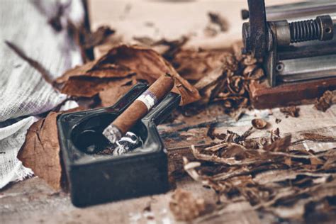 Cohiba - Bilder und Stockfotos - iStock