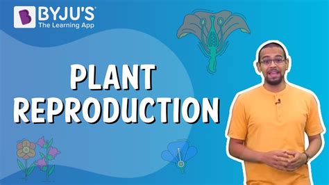 Plant Reproduction Class 5 I Learn With Byjus Youtube