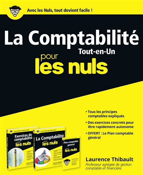 La Comptabilité Tout en un pour les Nuls Pour les nuls