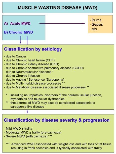 Muscle Wasting Disease (MWD) in Cachexia and Sarcopenia - SCWD