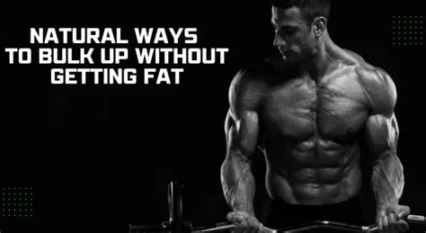 How To Bulk Up Without Getting Fat Top 5 Natural Ways