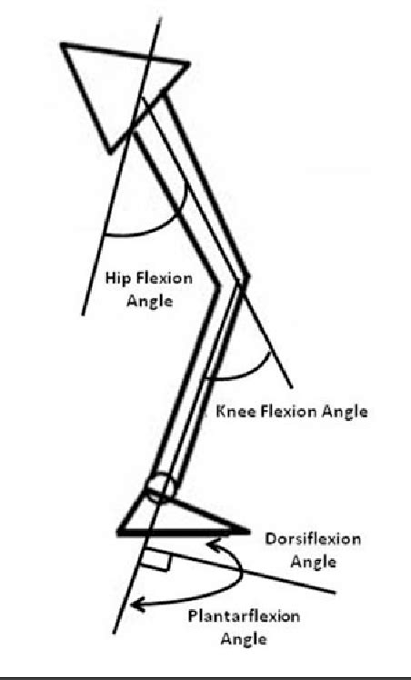 Figure From Lower Extremity Kinematics And Kinetics When Landing From