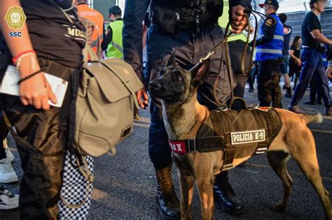 QuadratinMexico On Twitter Unidad Canina De La SSC CDMX Reconoce A