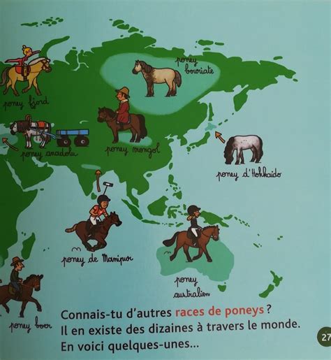Mes P Tits Docs Les Poneys Teteenlire