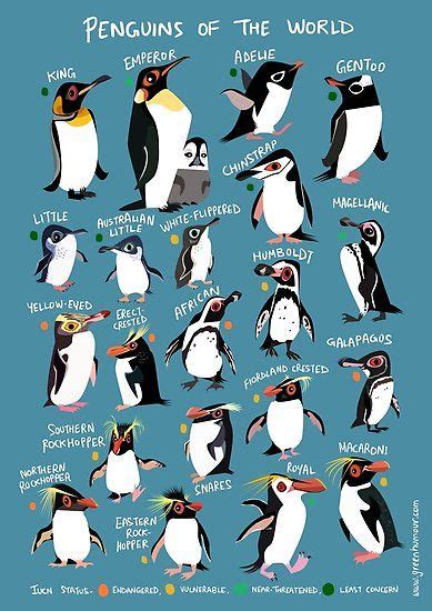 Penguins Of The World Poster By Rohanchak Penguins Pet Birds Cute