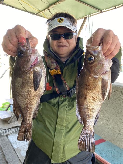 【好調‼】明石沖のメバル＆ガシラ釣り 名田屋 明石たこ釣り船・ブリ・メジロ・ヒラメのませ釣り船・タチウオ釣り船の釣果ブログ 明石港