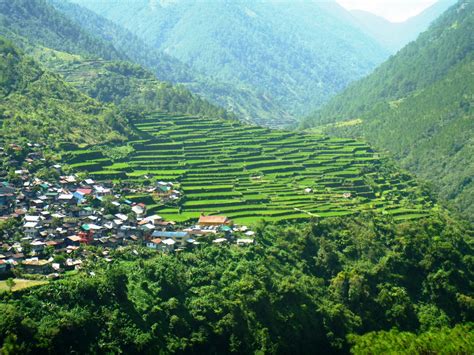 Bay Yo Rice Terraces Bontoc Mountain Province Blast Live