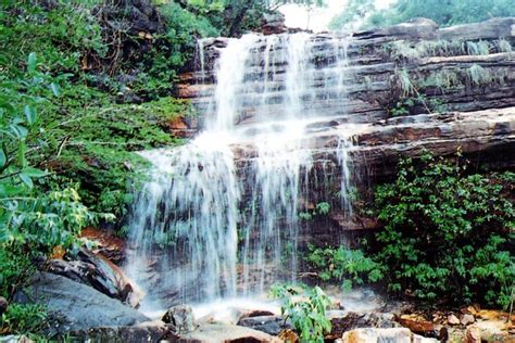 Parque Da Muritiba Provided By Discover Chapada Diamantina