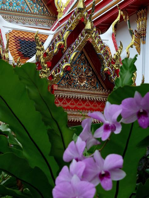 bankok | JuzaPhoto