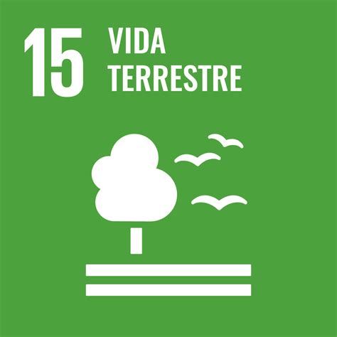 Objectius De Desenvolupament Sostenible Agenda 2030