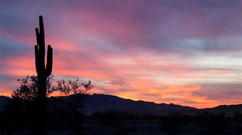 Desert Gardens Quartzsite RV Park