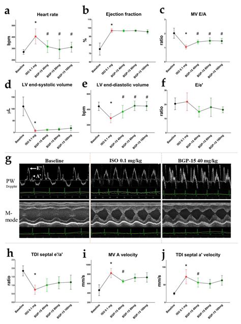 Effects Of Mg Kg Mg Kg And Mg Kg Cumulative Doses Of Bgp