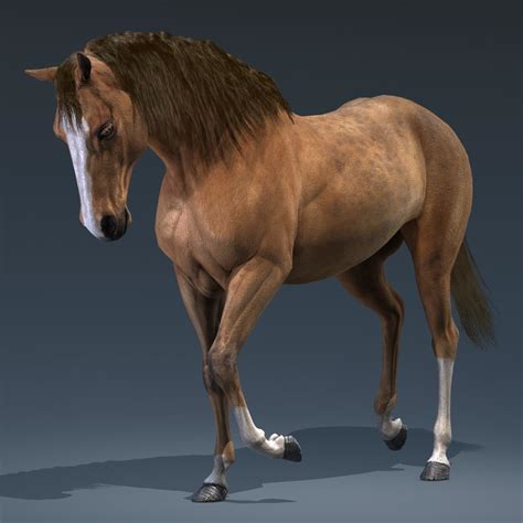 3d model realistic horse