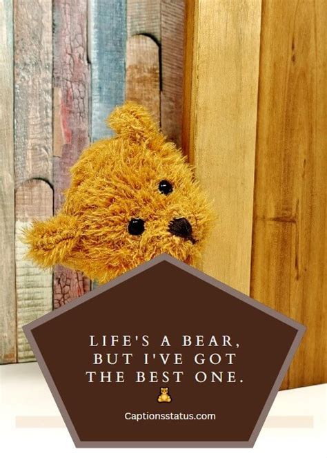 Teddy Bear Captions For Your Photos On Instagram Captionsstatus