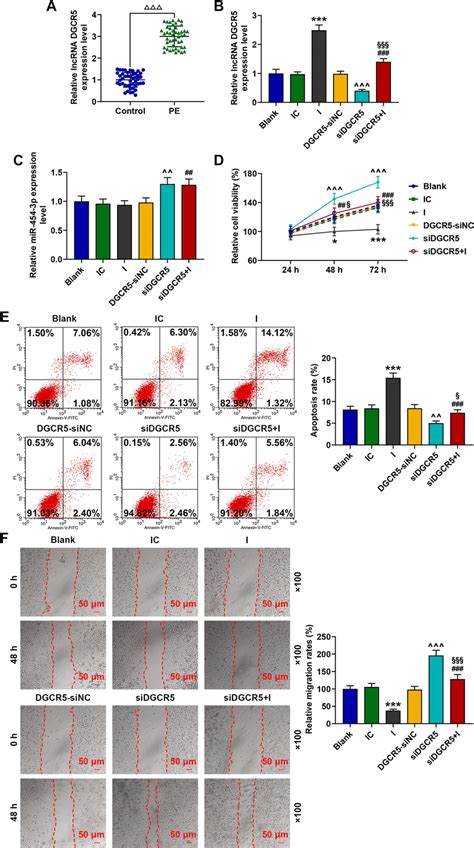 Silencing LncRNA DGCR5 Promoted HTR 8 SVneo Cell Viability Migration