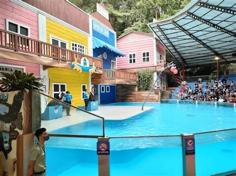 Tiket Dan Aktivitas Taman Safari Bogor Wisatahits