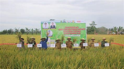 Petani Di Penajam Paser Utara Diharapkan Bisa Tingkatkan Produksi