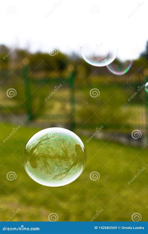 Close Up Of Colorful Soap Bubbles Stock Image Image Of Nature Colors