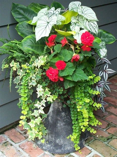 Colorful And Inspiring Container Gardening Ideas Talkdecor