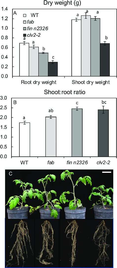 A Shoot And Root Dry Weights B Shootroot Ratios And C Photos Of