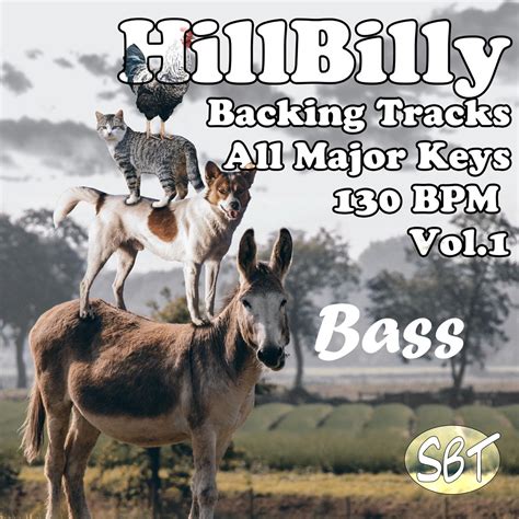 Hillbilly Bass Backing Tracks All Major Keys 130 BPM Vol 1 Album