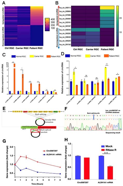 Identification Of Upregulated Circular Rnas In Lhon Patient