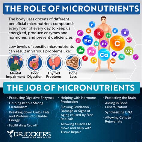 micronutrients    test  levels