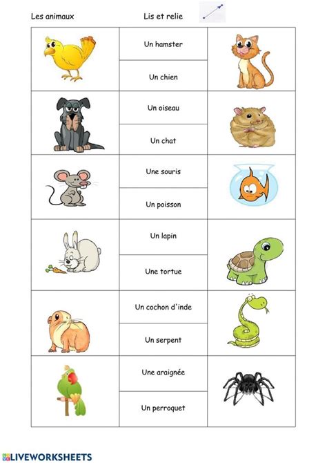 Les Animaux Domestiques Lecture Worksheet French Worksheets Teaching