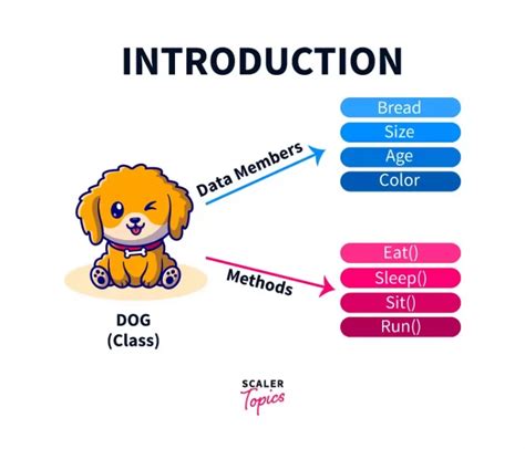 Difference Between Class And Object Scaler Topics