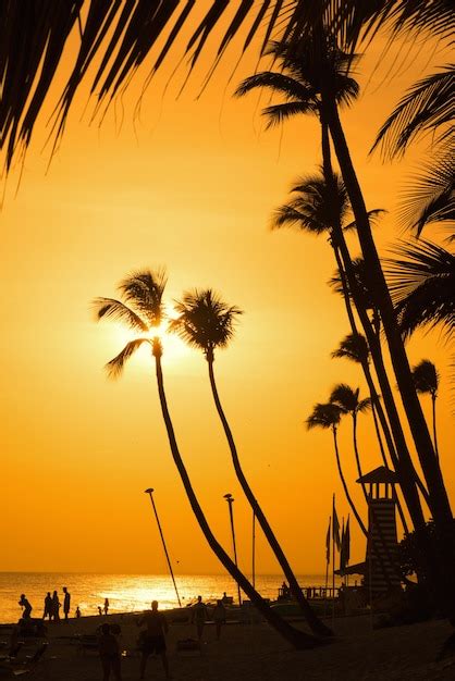 Premium Photo Two Palm Trees Silhouette On Sunset Tropical Beach