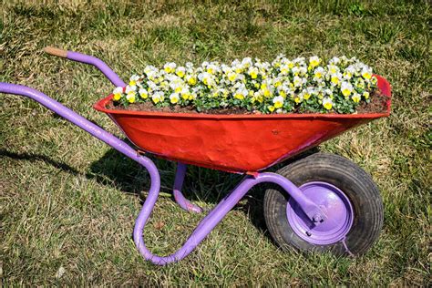 Wheelbarrow Flower Planter Ideas For Your Yard Home Stratosphere