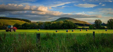 What Can America Learn From New Zealand S Farming Reforms Your