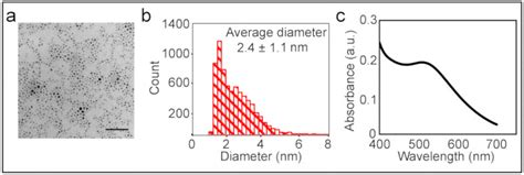 Size Distribution Of Nanoparticles A This Panel Shows A