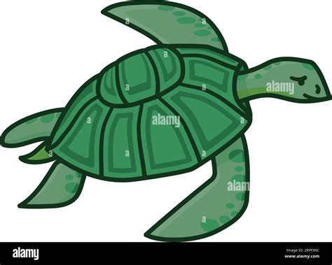 Green Sea Turtle Isolated Vector Illustration For Sea Turtle Day On