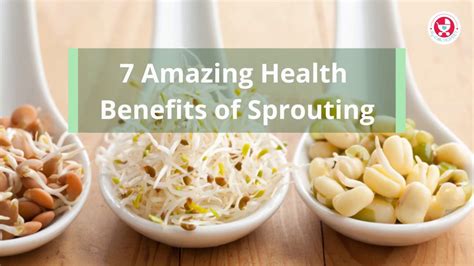 7 Amazing Health Benefits Of Sprouting Youtube