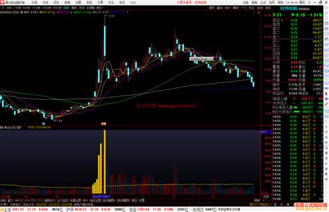 通达信黄金柱成交量副图指标公式源码 通达信公式 公式网